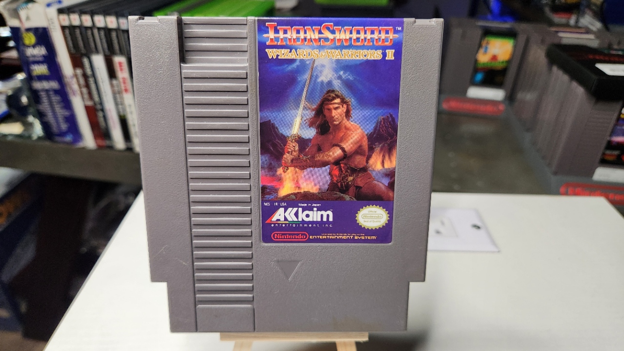 Iron Sword Wizards and Warriors II